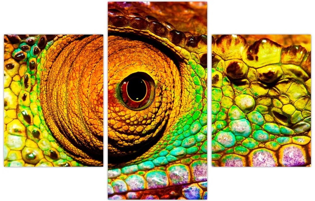 Tablou - Cameleon (90x60 cm)