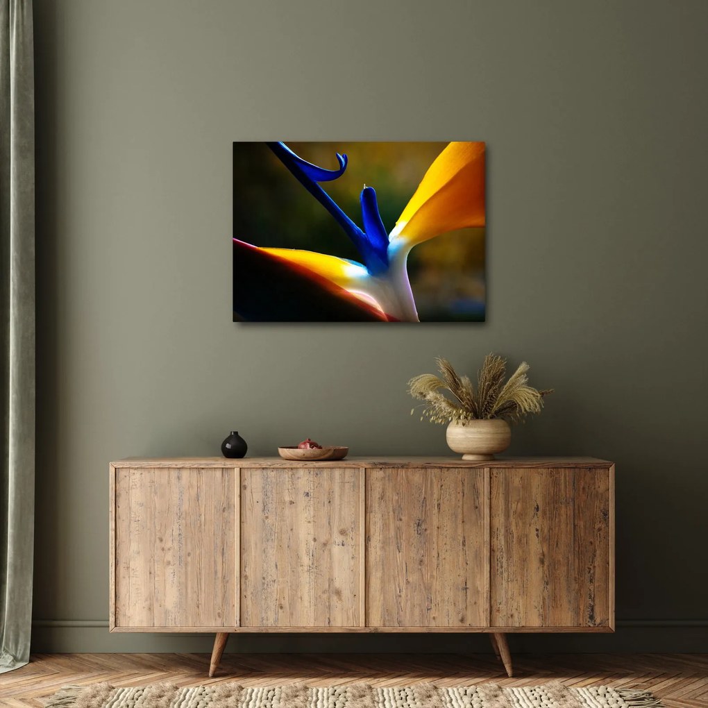 Tablou - Floare exotică (70x50 cm)