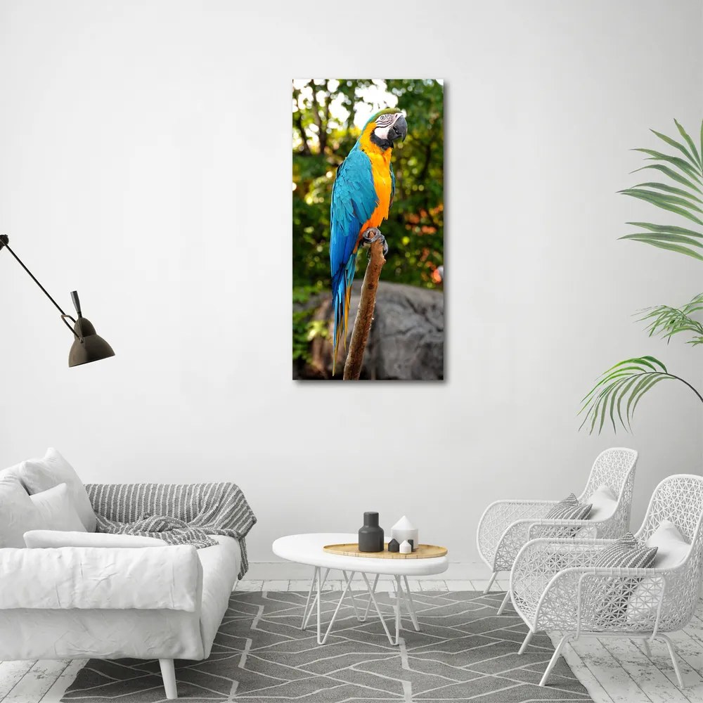 Fotografie imprimată pe sticlă Ara papagal