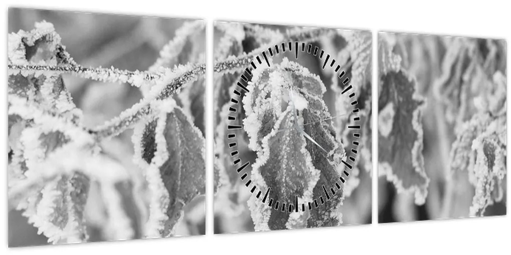 Tablou - Frunze înghețate,alb-negru (cu ceas) (90x30 cm)