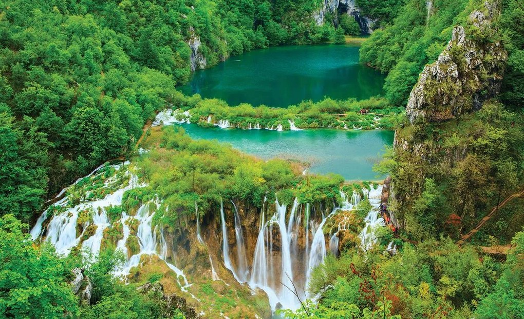 Fototapet - Cascada între plante (152,5x104 cm)