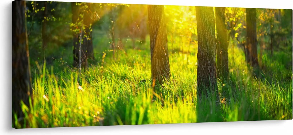 Tablou - Trezirea de primăvară a pădurii (120x50 cm)