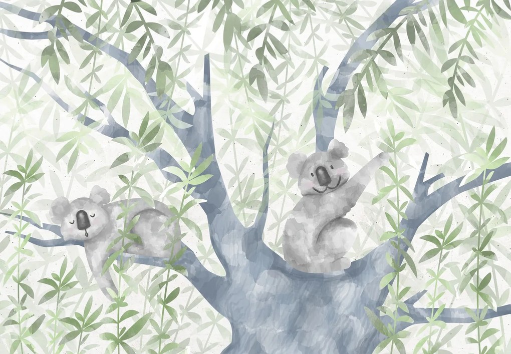 Fototapet - Koala (147x102 cm)