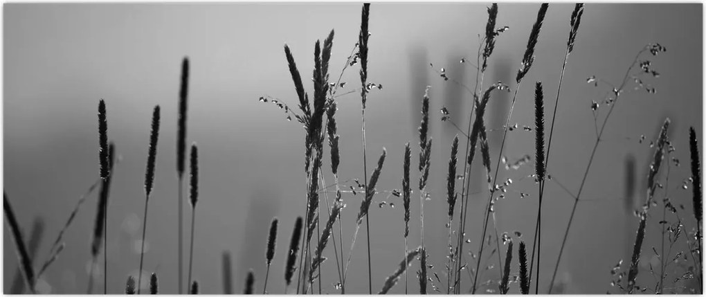 Tablou - Lamele de iarbă (120x50 cm)