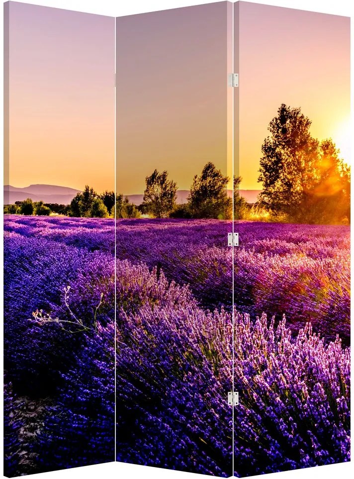 Paravan - Câmp de lavanda (126x170 cm)