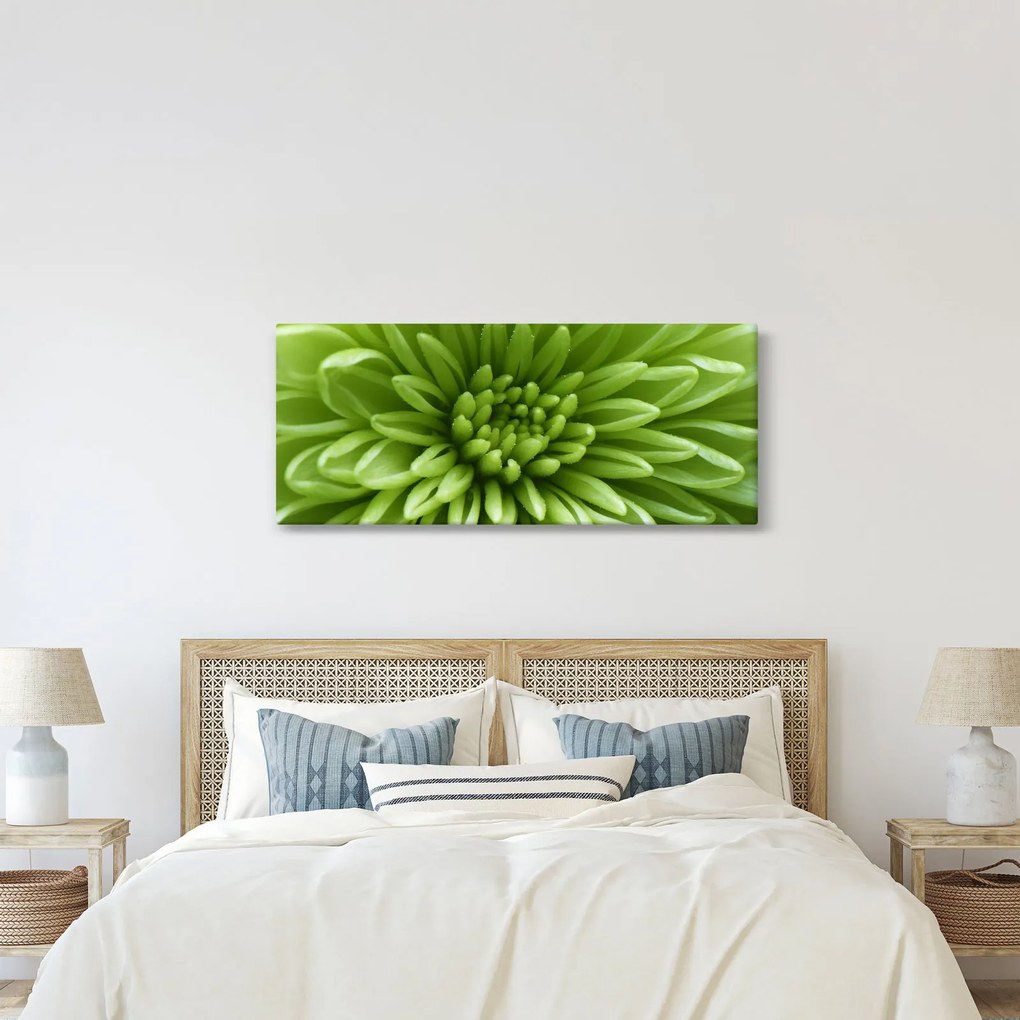 Tablou - Imagine macro a unei plante (120x50 cm)