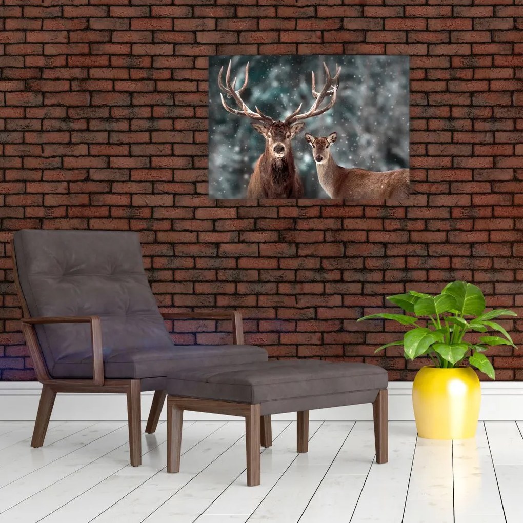 Tablou pe sticlă - Cerb și căprioare în pădurea înzăpezită (70x50 cm)