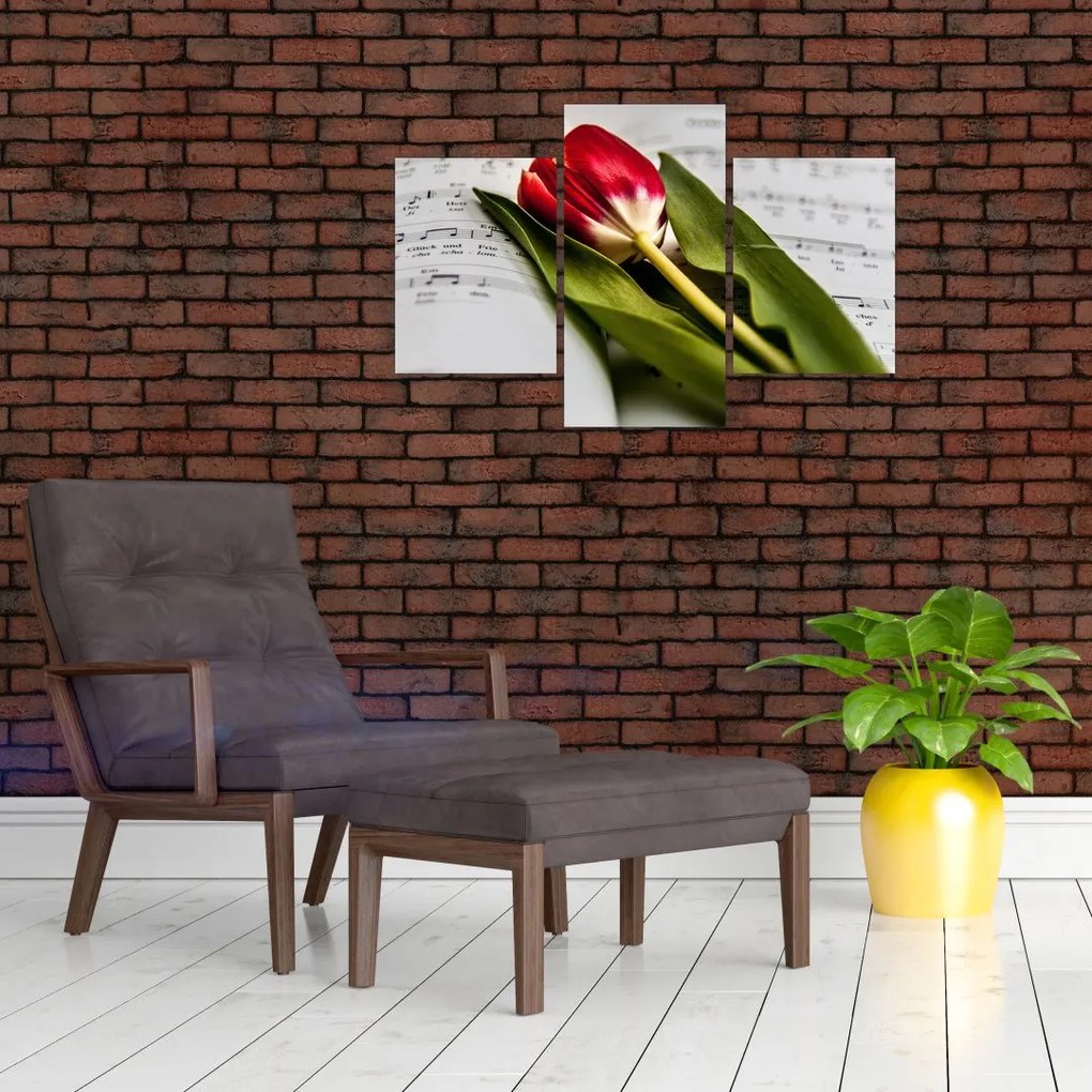 Tablou - Lalea roșie (90x60 cm)