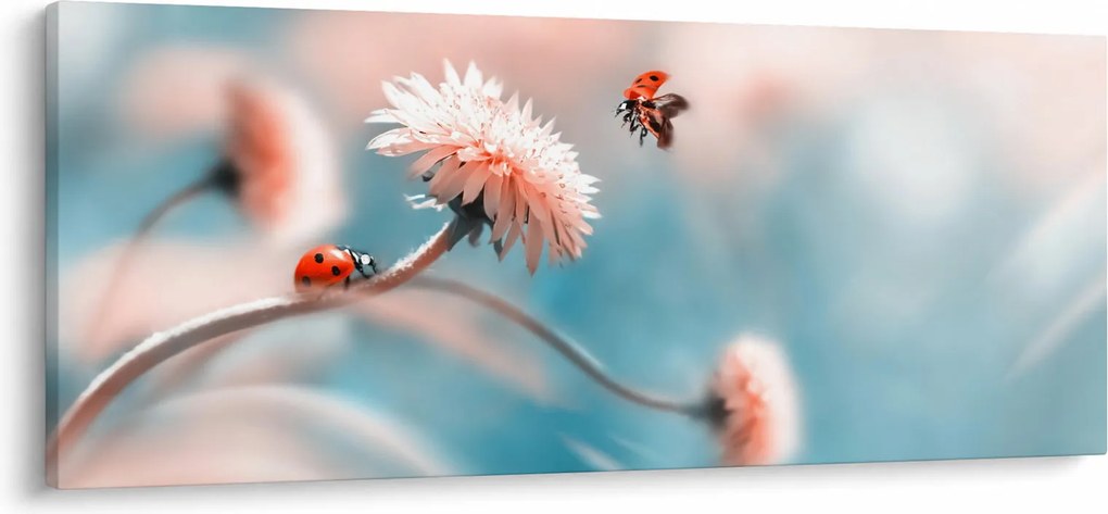Tablou - Buburuze pe floare (120x50 cm)