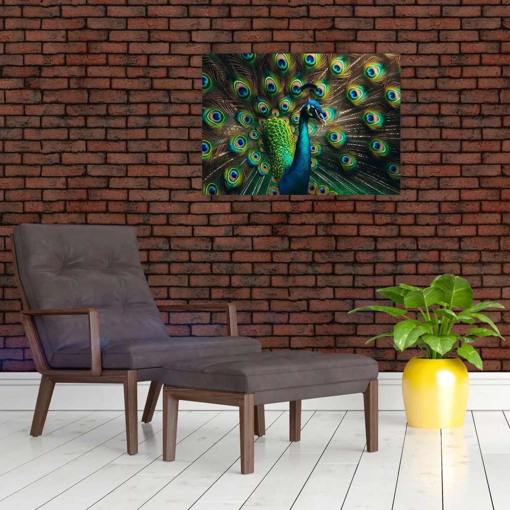 Tablou – Păun (70x50 cm)