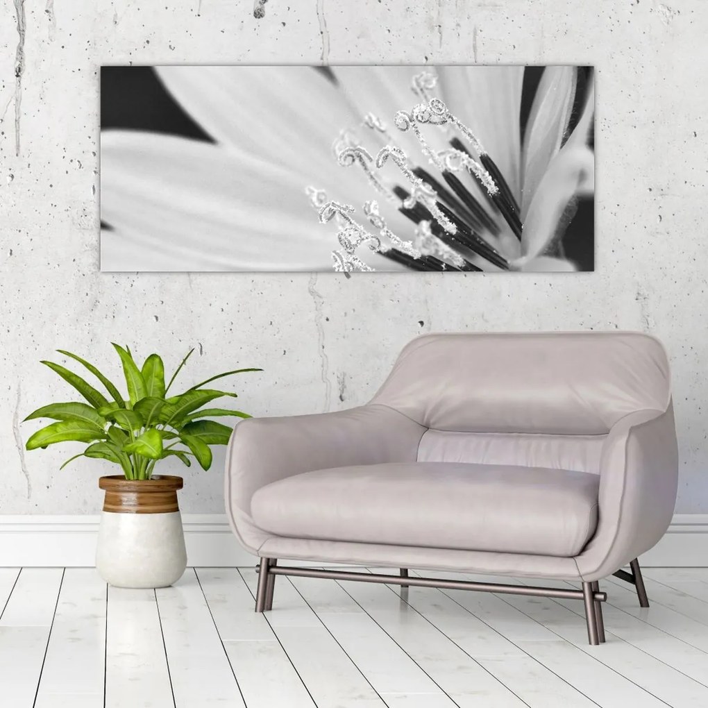 Tablou - Floare albă și neagră (120x50 cm)
