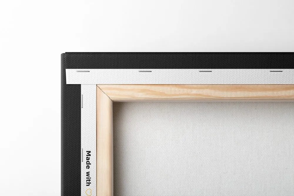 Tablou leul mic în design alb-negru