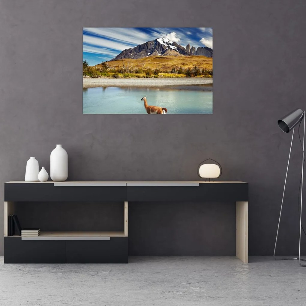Tablou - Parcul Național Torres del Paine (90x60 cm)