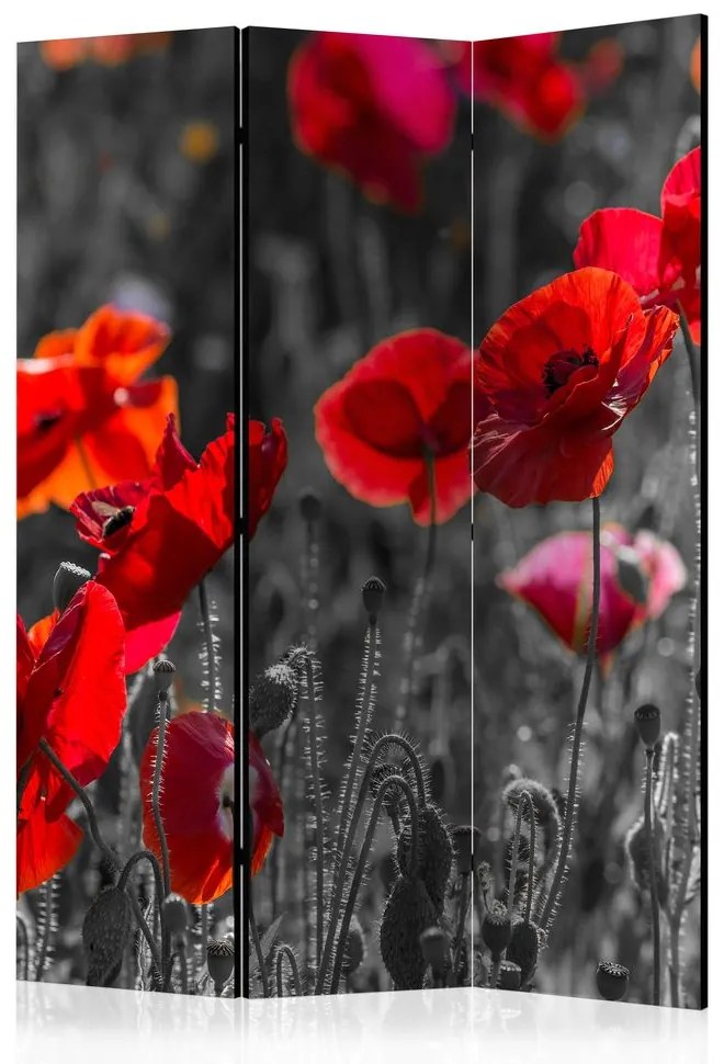 Paravan - Red Poppies [Room Dividers]