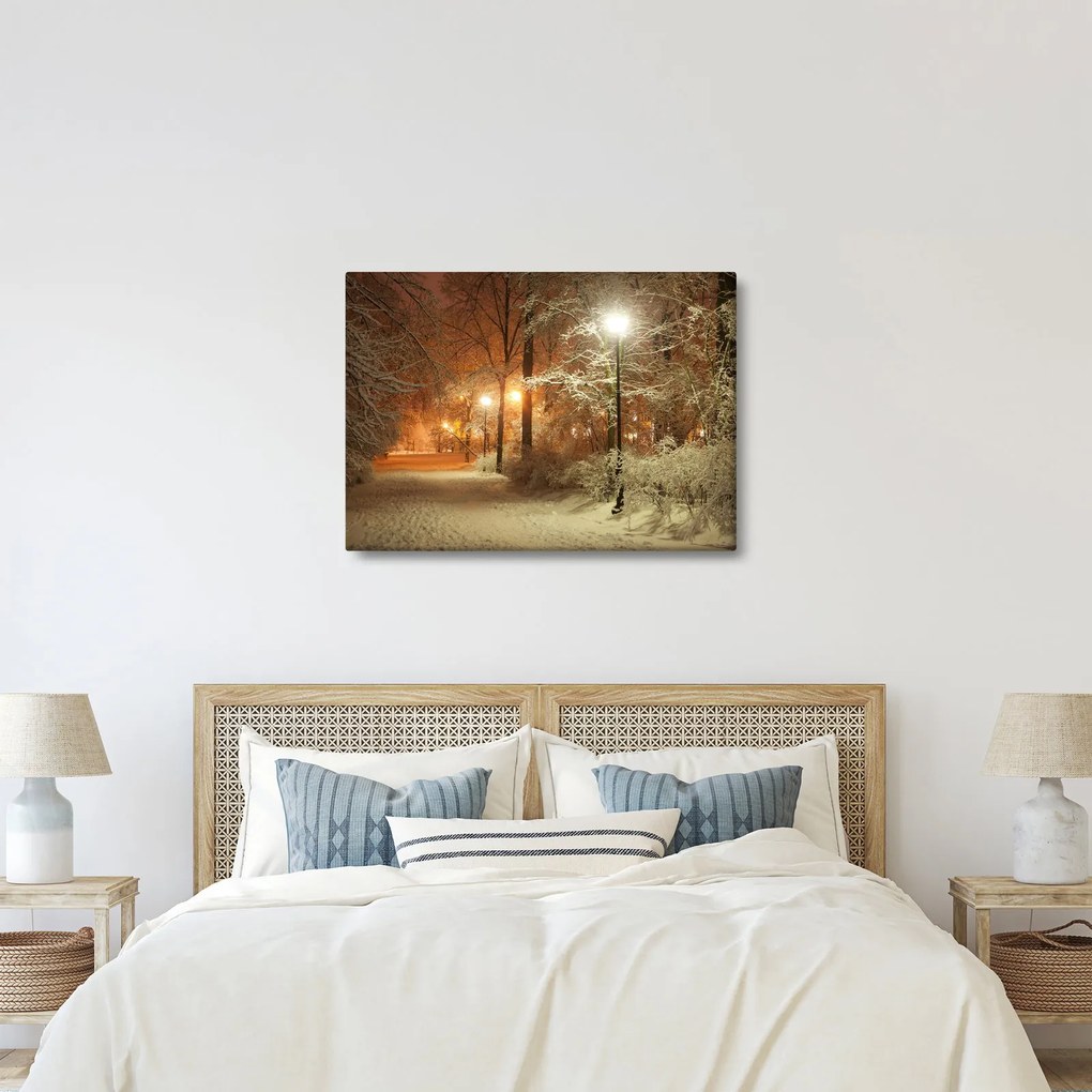 Tablou - Parcul înzăpezit (70x50 cm)