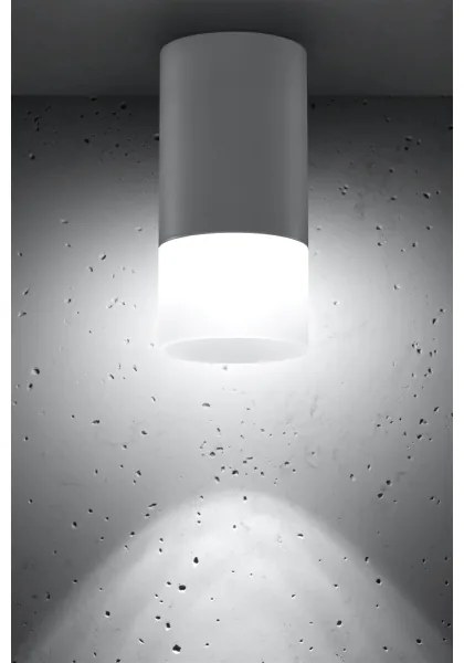 Spot TUBA 1xGU10/15W/230V gri/alb