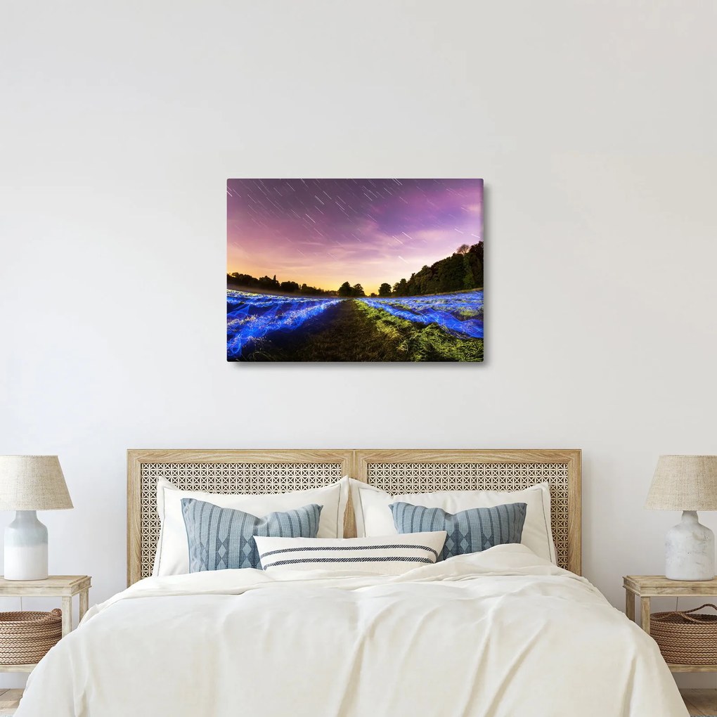 Tablou cu câmp colorat (70x50 cm)