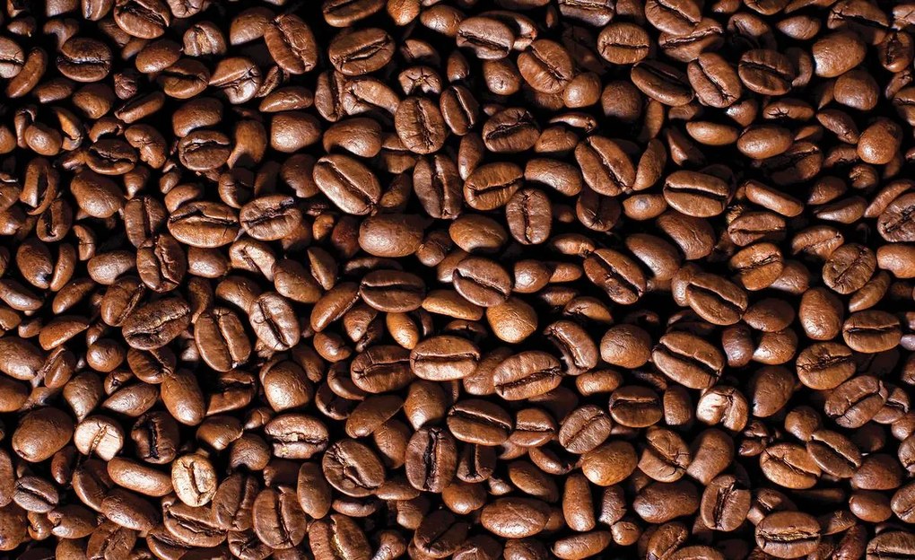 Fototapet - Boabe de cafea (254x184 cm)