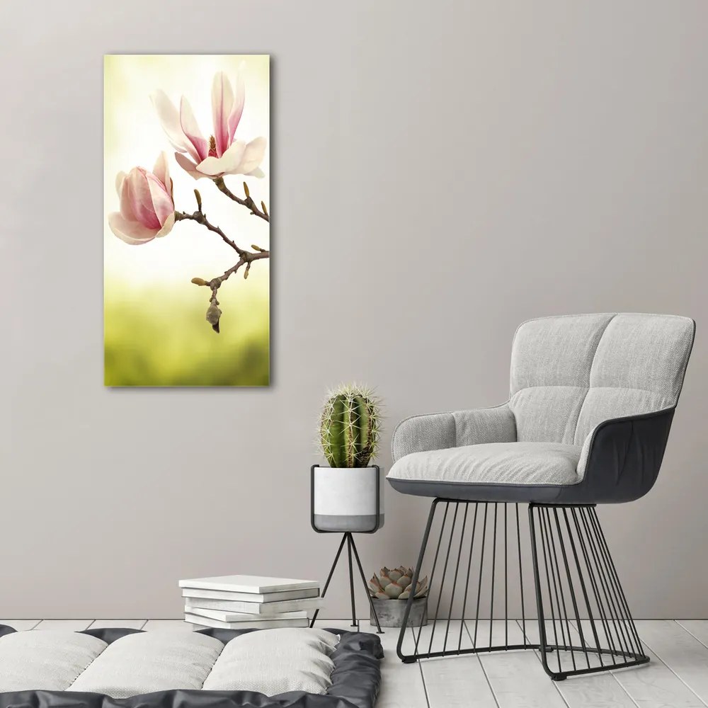 Imprimare tablou canvas Flori magnolia