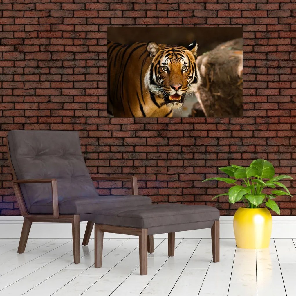 Tablou cu tigrul (90x60 cm)