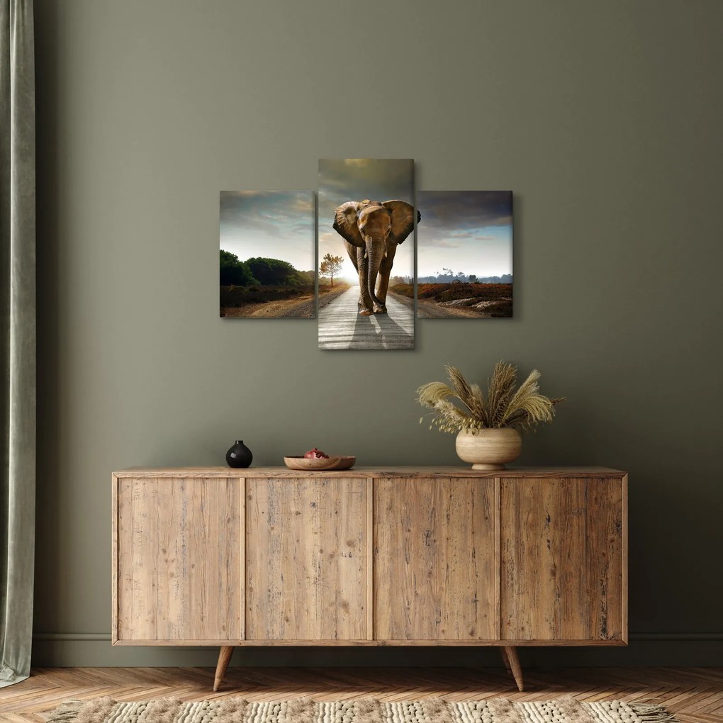 Tablou cu elefant (90x60 cm)