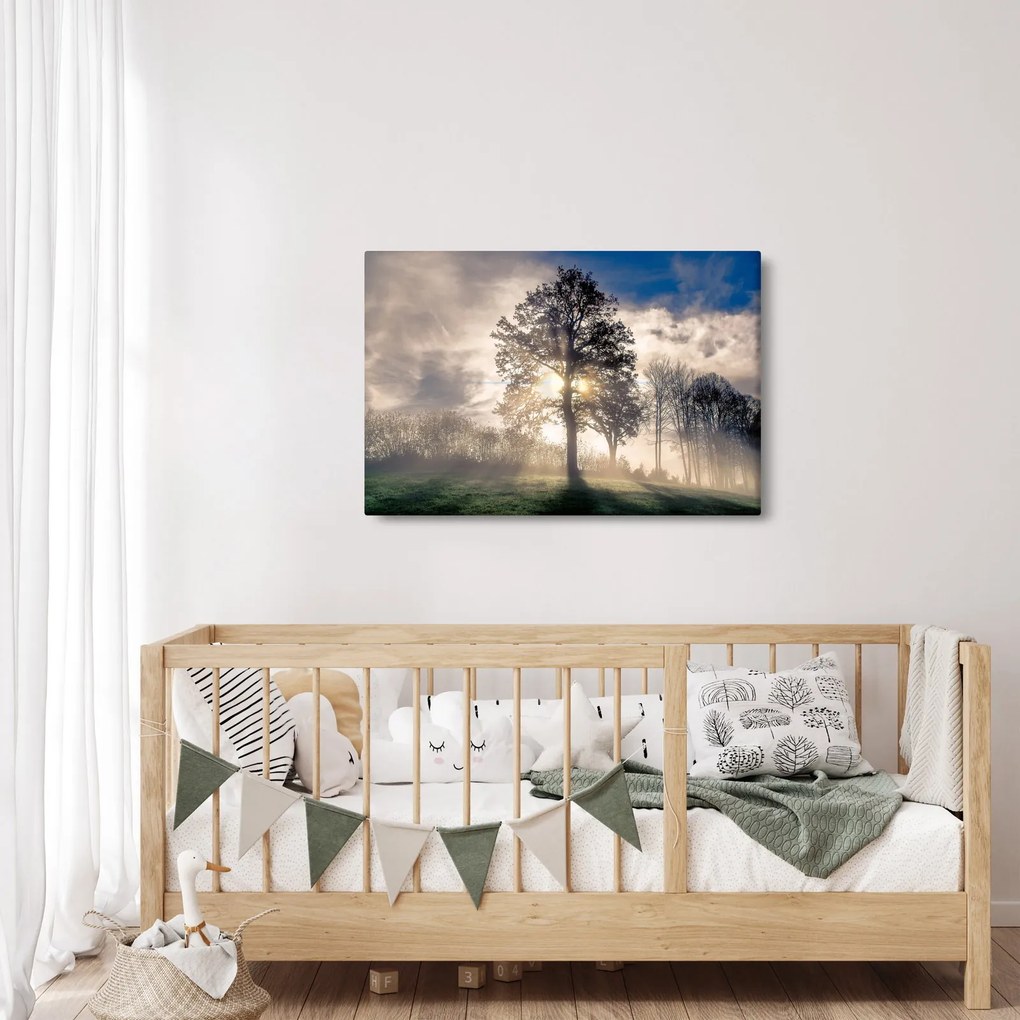 Tablou cu copac în ceață (90x60 cm)