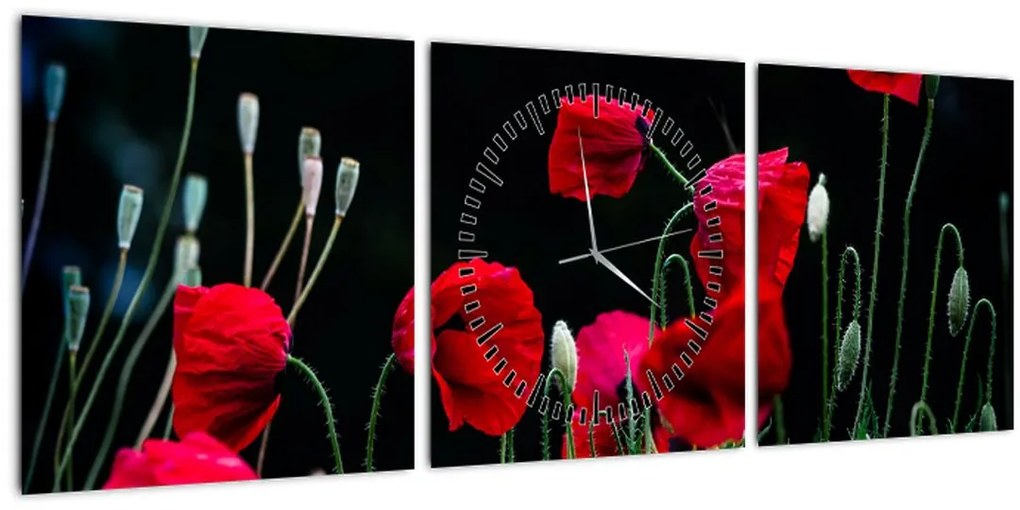 Tablou - Dansul macilor (cu ceas) (90x30 cm)