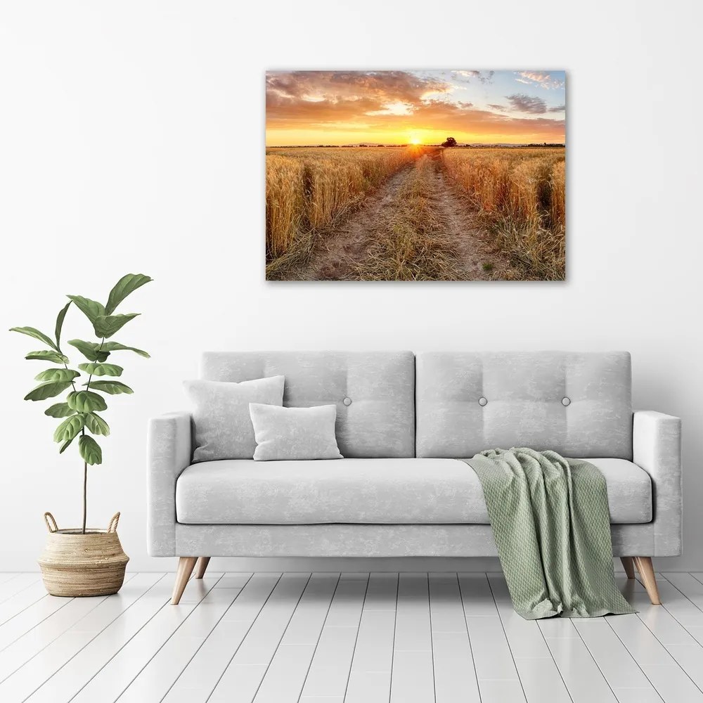 Print pe canvas Câmp de grâu