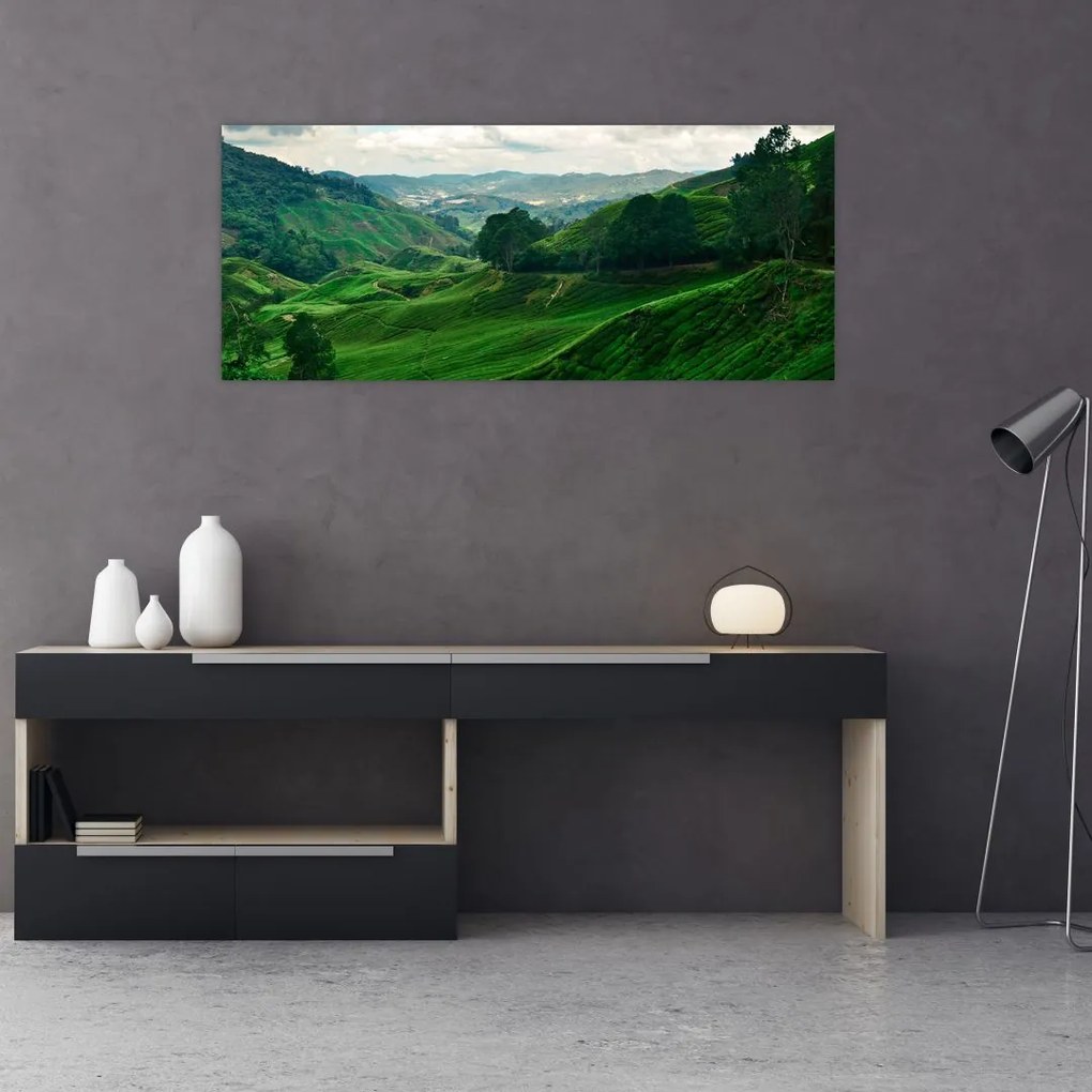 Tablou Plantații de ceai - Malaezia (120x50 cm)