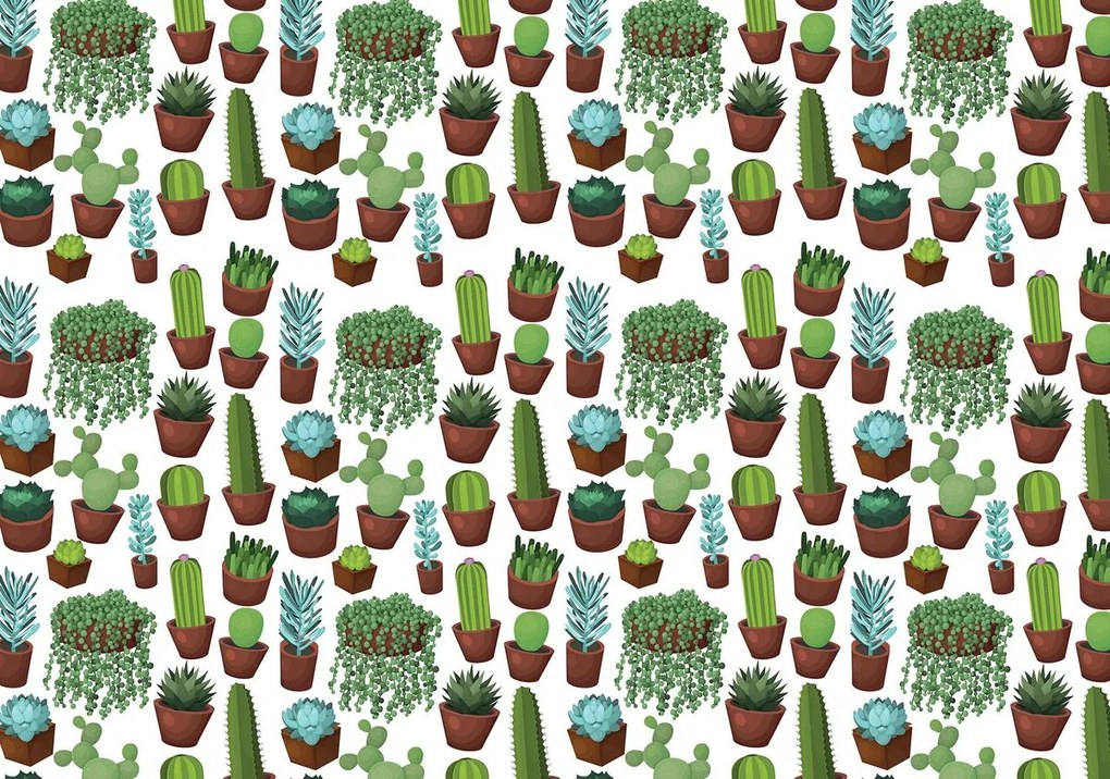 Fototapet - Cactus (254x184 cm)