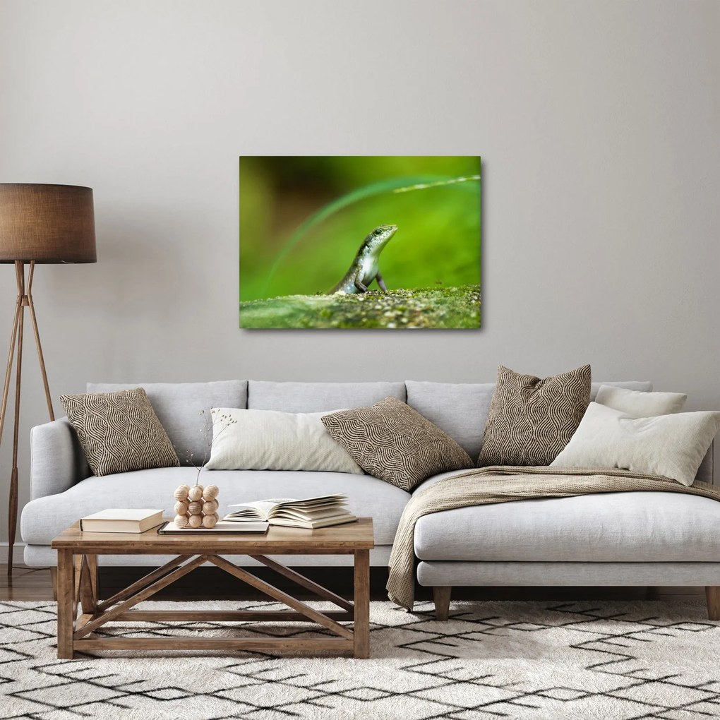 Tablou cu șopârlă (70x50 cm)