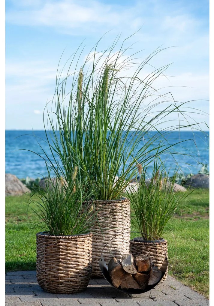 Ghiveci Hanoi din răchită, jacint de apă, natural, set de 3