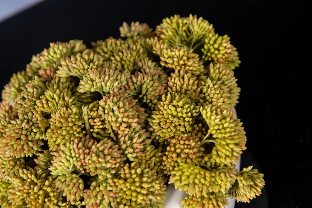 Aranjament floral mic decor festiv design LUX SEDUM PLANT