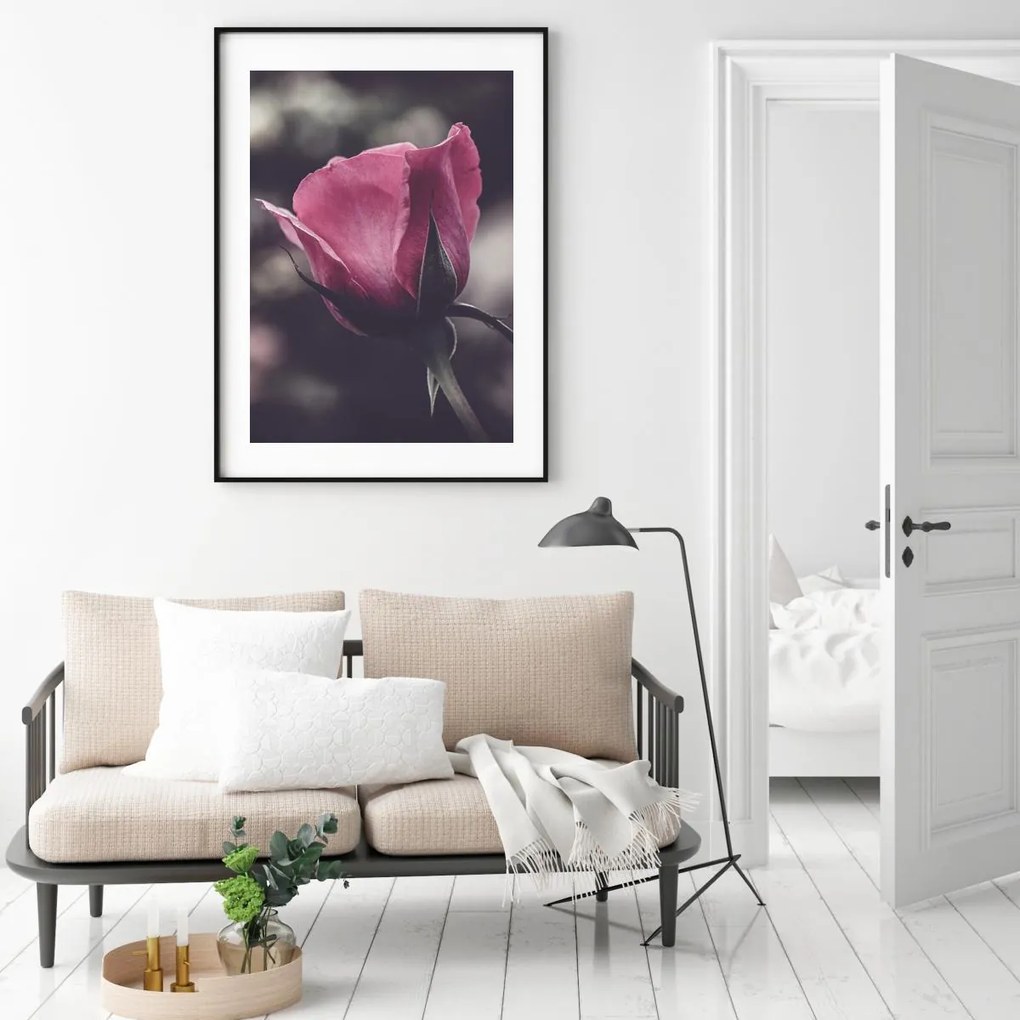 Poster - Floarea de trandafir (A4)