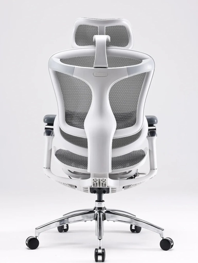 Scaun Ergonomic SIHOO Doro C300 Pro M102, Suport Lombar Adaptiv Inteligent, Spătar Reglabil pe Înălțime, Tetieră 3D, Cotiere 6D PU, Șezut Glisant, Reclinare 135°, Mesh, Gri