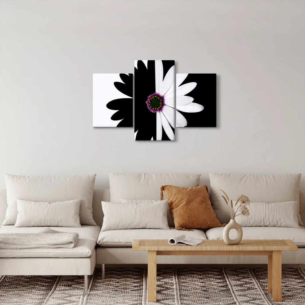 Tablou - Floare, alb- negru (90x60 cm)