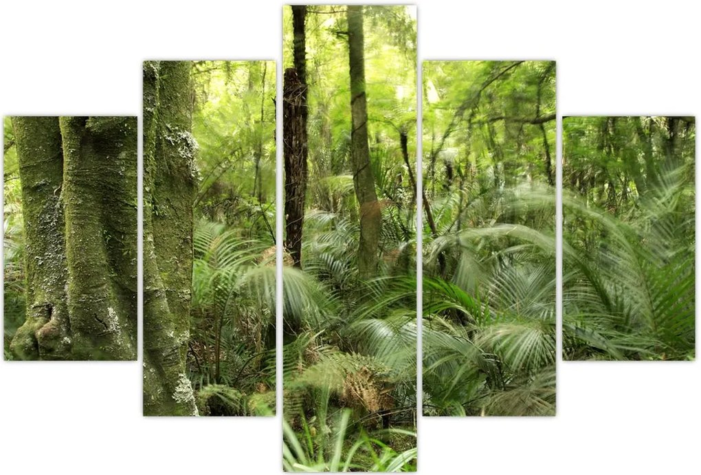 Tablou - Pădure tropicală (150x105 cm)