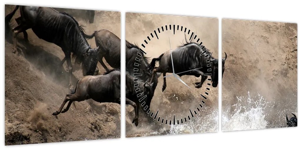 Tablou - Turmă de gnu (cu ceas) (90x30 cm)