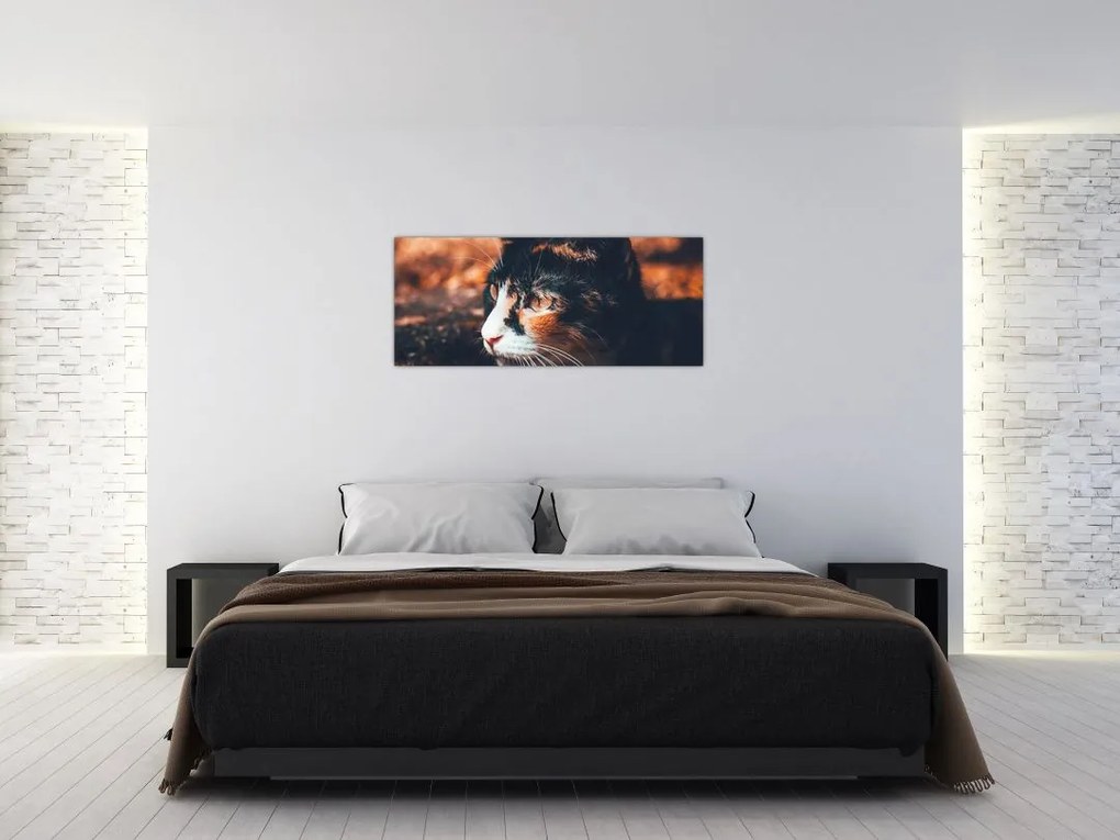 Tablou - Privirea pisicii (120x50 cm)
