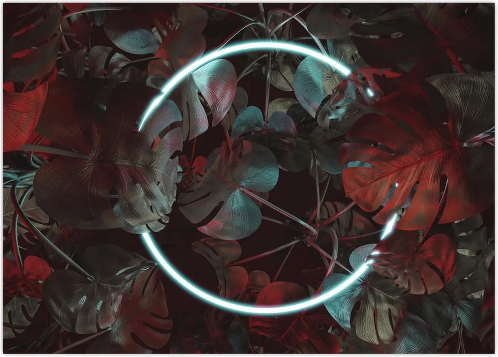 Tablou - Cerc de neon între palmieri (70x50 cm)