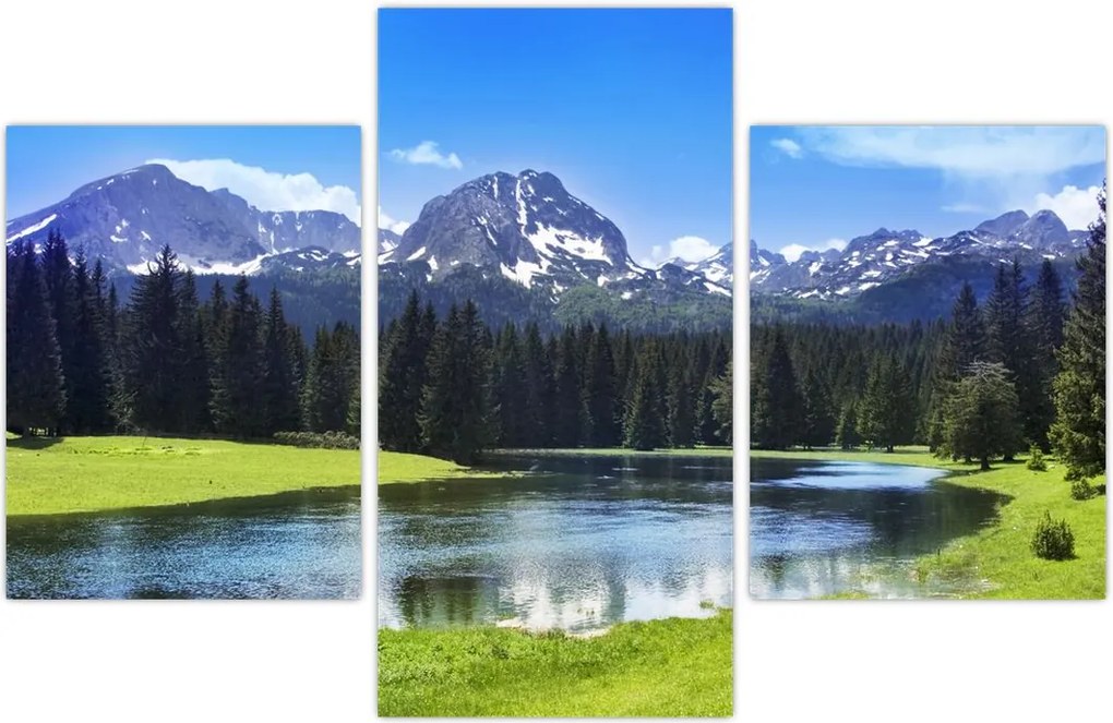 Tablou - vâfurile montane înzăpezite (90x60 cm)