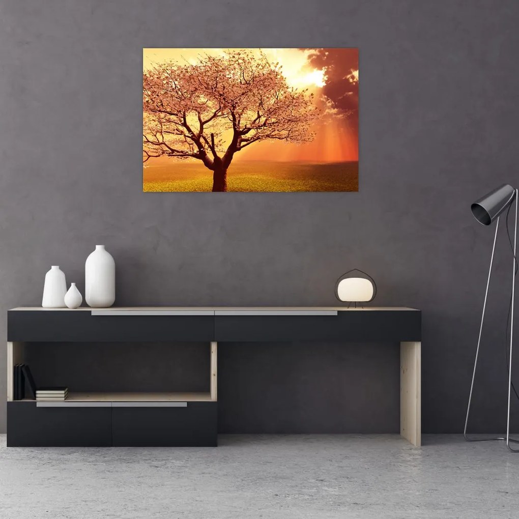 Tablou cu razele lui Dumnezeu (90x60 cm)