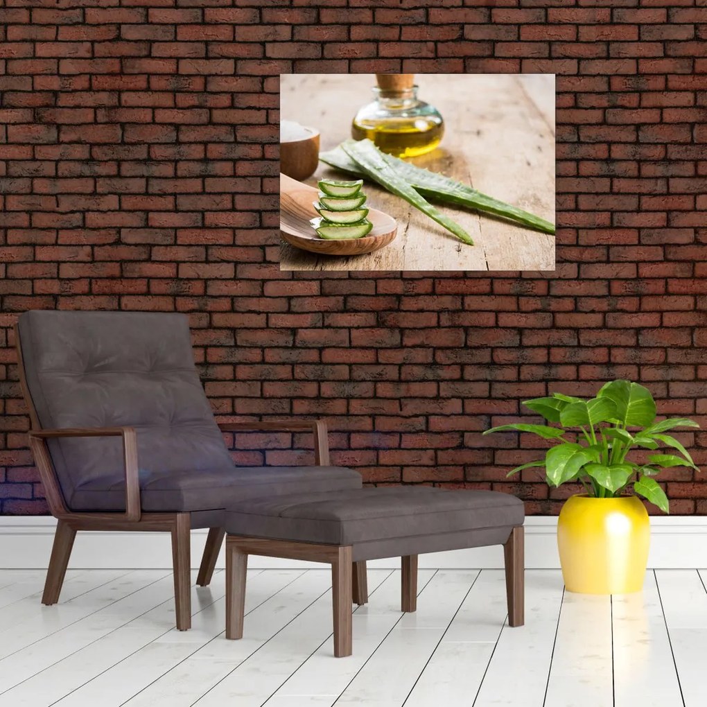 Tablou - Aloe vera (70x50 cm)