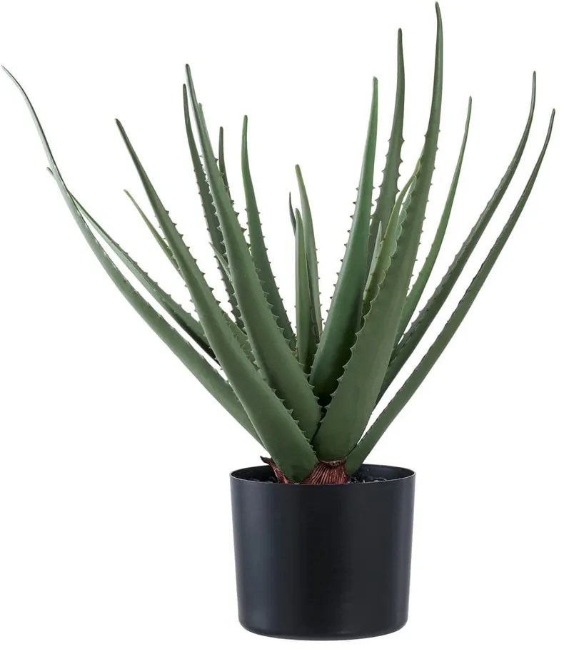 Plantă artificială (înălțime 51 cm) Aloe Vera – House Nordic
