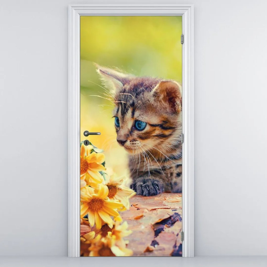 Fototapet pentru ușă - Pisoiaș privind floarea (95x205cm)