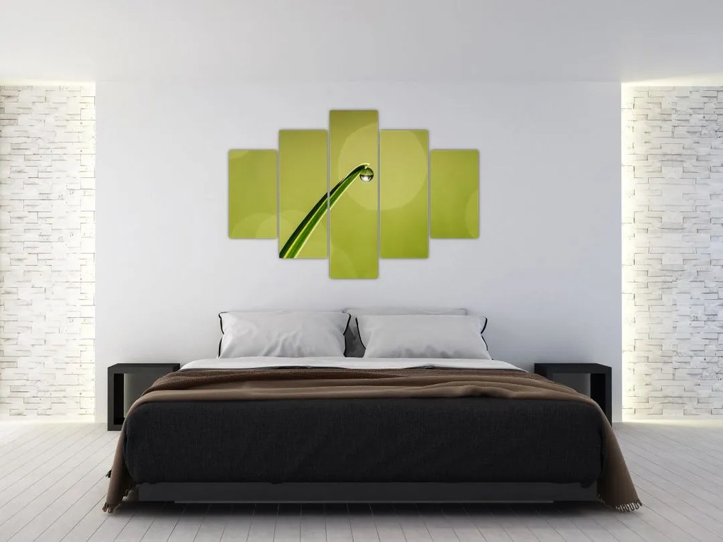 Tablou cu picătură de apă pe iarbă (150x105 cm)