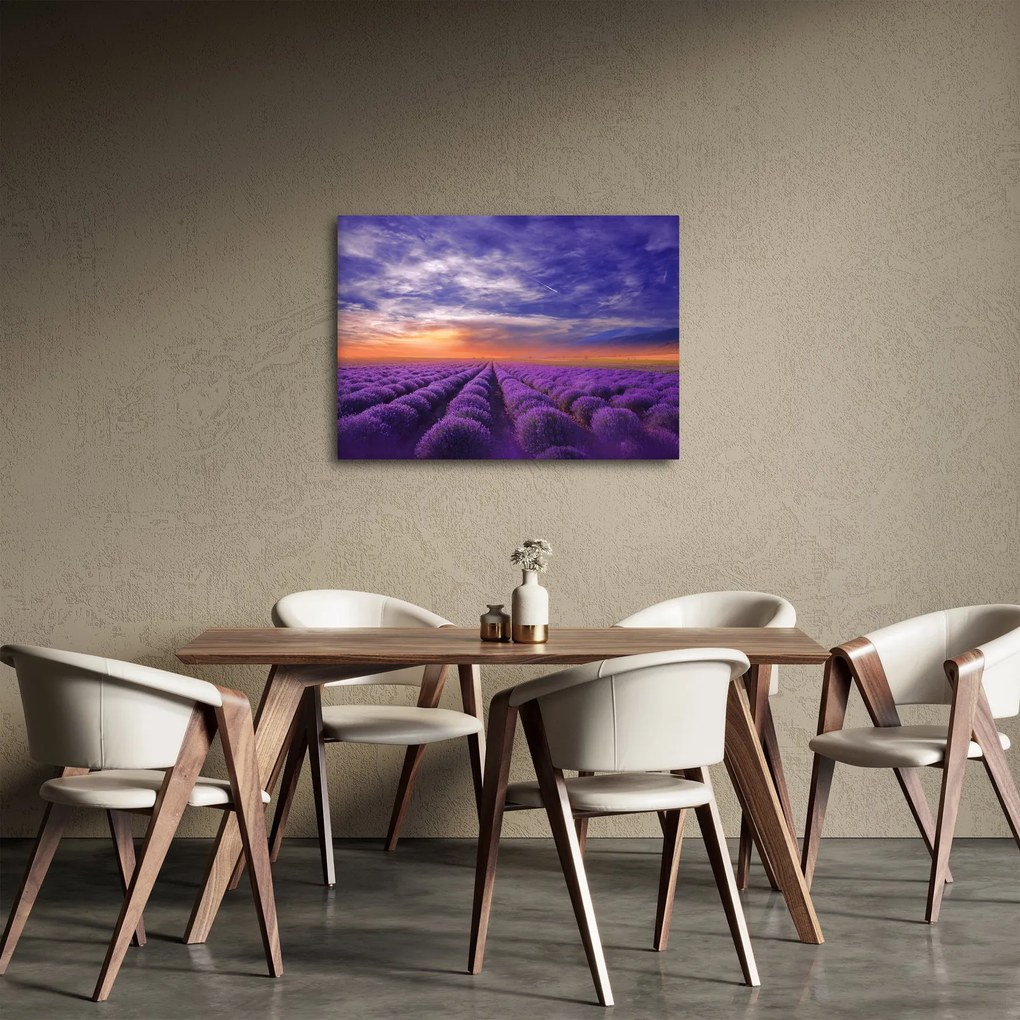Tablou câmpului cu lavandă (70x50 cm)