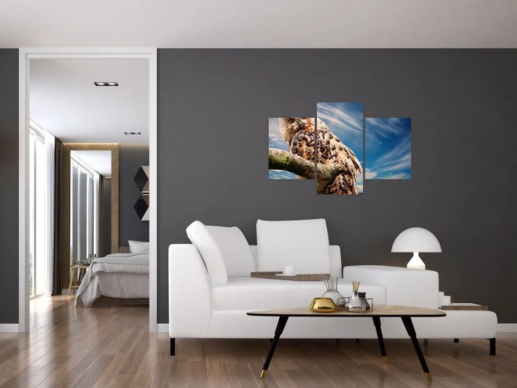 Tablou - Bufniță (90x60 cm)