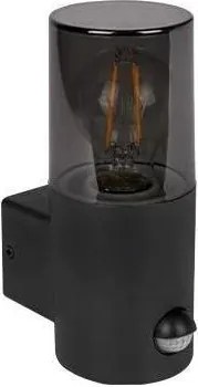Aplica de exterior cu senzor 1xE27/40W/230V IP44 negru/fumuriu