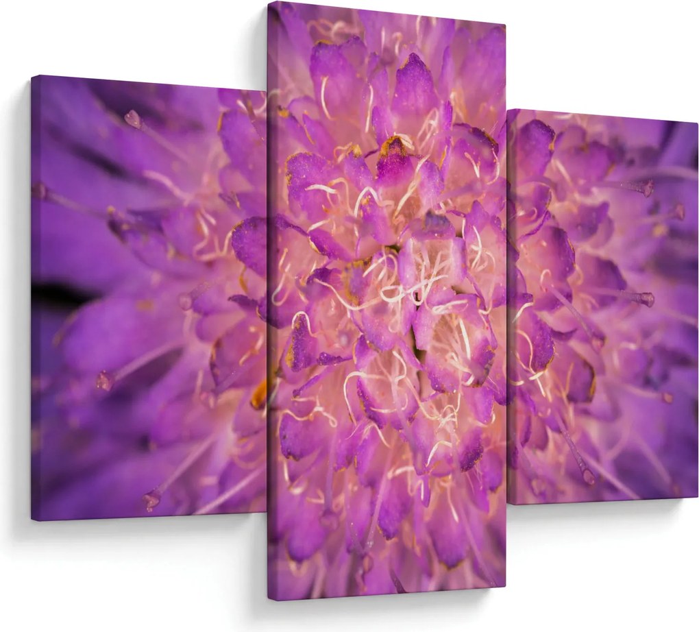 Tablou detailat cu floare (90x60 cm)